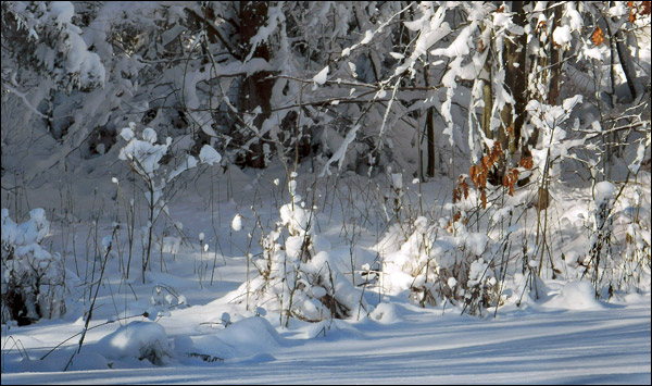 2012jan15-snow01.jpg